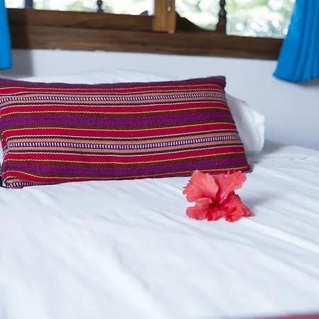 Hotel La Isla Inn Puerto Viejo de Talamanca Extérieur photo