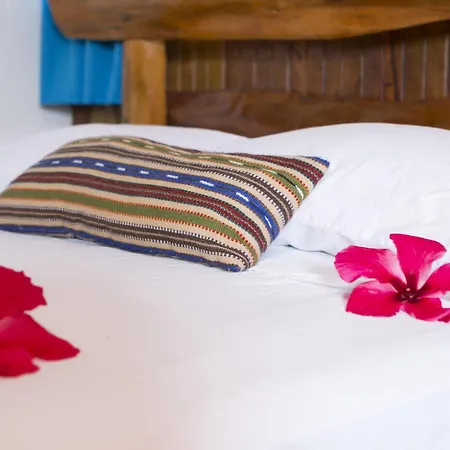 Hotel La Isla Inn Puerto Viejo de Talamanca Extérieur photo